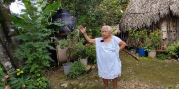 José María Morelos: Un suelo de Café Olvidado en el Corazón de Quintana Roo