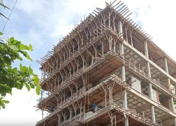 Desafío Ambiental: Construcción Ilegal Amenaza Santuario de Tortugas en Tulum