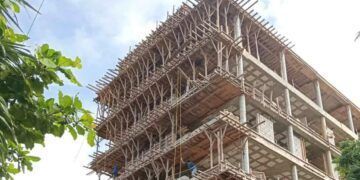 Desafío Ambiental: Construcción Ilegal Amenaza Santuario de Tortugas en Tulum