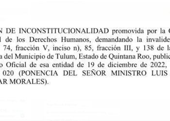 Exorbitantes Tarifas de Búsqueda de Documentos en Tulum: CNDH Llama a Inconstitucionalidad