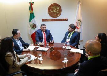 Buscan regular la IA en México
