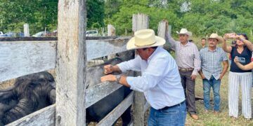 Arranca vacunación para prevenir septicemia en hato ganadero de Quintana Roo