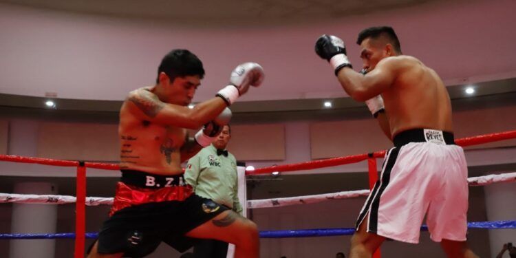 Noche Explosiva en «Capital de Campeones»: Boxeo, Pasión y Knockouts en el Salón Bellavista