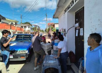 Ayuntamiento y Refugio de Animal de Solferino-Holbox, realizan jornada de esterilización