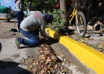 Define Estefanía Mercado líneas de acción para mejorar los servicios públicos de Solidaridad