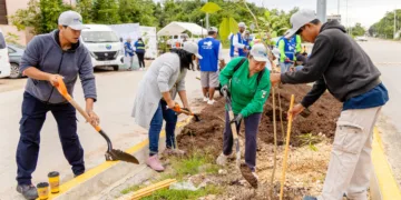 Tulum avanza en sustentabilidad con la tercera etapa del programa de arborización en la avenida La Selva
