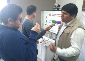 Avanza en Yucatán entrega de tarjetas de Jóvenes Construyendo el Futuro