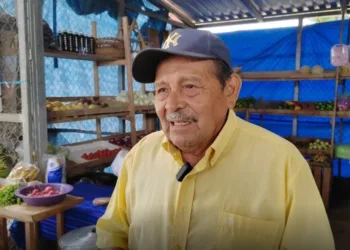 Campesinos de José María Morelos Logran una Buena Cosecha Pese a Adversidades