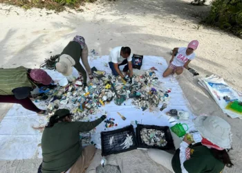 Fundación Eco-Bahía impulsa la conservación con la recolección de más de 830 kg de residuos en playas durante 2024