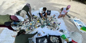 Fundación Eco-Bahía impulsa la conservación con la recolección de más de 830 kg de residuos en playas durante 2024