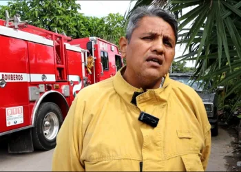 Enjambres de abejas movilizan a bomberos en puntos clave de la ciudad