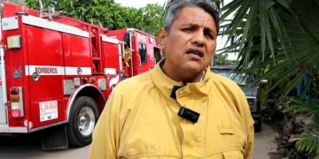 Enjambres de abejas movilizan a bomberos en puntos clave de la ciudad