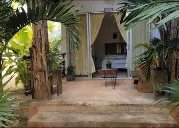 La Finca Luna Maya: Un Destino Turístico que Celebra la Naturaleza y la Cultura Maya en José María Morelos