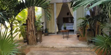 La Finca Luna Maya: Un Destino Turístico que Celebra la Naturaleza y la Cultura Maya en José María Morelos