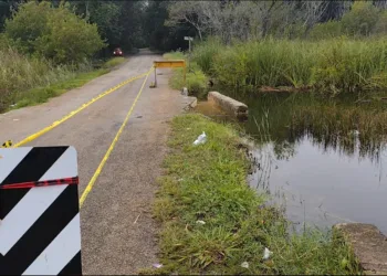 Urge reconstrucción del puente de San Diego: único acceso a la comunidad en grave deterioro