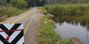 Urge reconstrucción del puente de San Diego: único acceso a la comunidad en grave deterioro