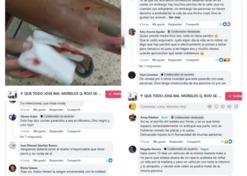 Protección Animal en JMM: Una Ley a Conveniencia