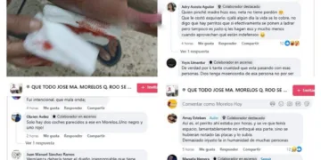 Protección Animal en JMM: Una Ley a Conveniencia