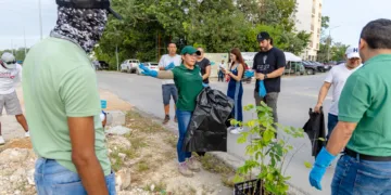 Culmina arborización en avenida la Selva