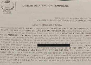 Gobierno de Othón P. Blanco presenta denuncia por maltrato animal