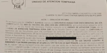 Gobierno de Othón P. Blanco presenta denuncia por maltrato animal