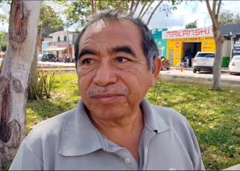 Migración de abejas afecta la producción de miel en Morelos