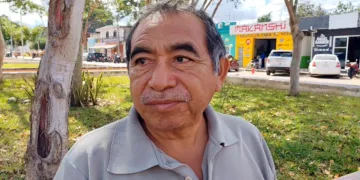 Migración de abejas afecta la producción de miel en Morelos
