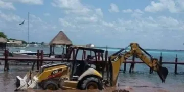 José Alfredo Contreras Méndez y las autoridades ambientales, cómplices del ecocidio en Bacalar