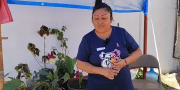 Plantas medicinales y aromáticas en José María Morelos