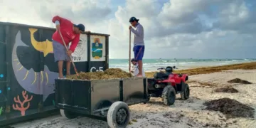 Gobierno de Tulum atiende arribo de sargazo junto a los tres órdenes