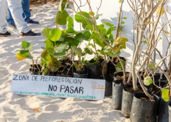 Conmemoran el día de la madre tierra con acciones de limpieza y reforestación