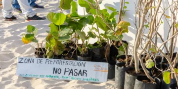 Conmemoran el día de la madre tierra con acciones de limpieza y reforestación