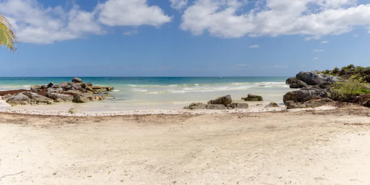 Diego Castañón Trejo anuncia próxima apertura de nuevo acceso público a playas de Tulum