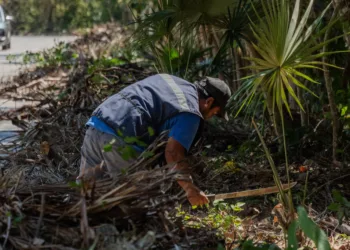 Brigadas de servicios realizan limpieza integral, en mejora de la imagen urbana