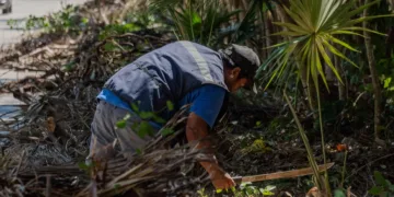 Brigadas de servicios realizan limpieza integral, en mejora de la imagen urbana