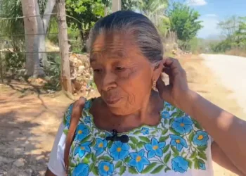 Vecinos de la colonia Ejidal enfrentan abandono de servicios públicos