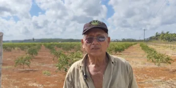Productores del campo Yaxché denuncian incumplimiento de CFE pese a pagos realizados