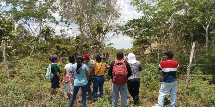 Localiza FGE cuerpo de enfermero en OPB y detiene a presunto responsable de homicidio