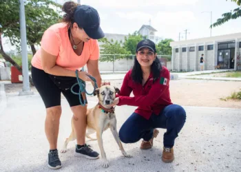 Con Estefanía Mercado al frente, Playa del Carmen está a un paso de hacer historia con su primera clínica gratuita para animales