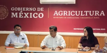 La SADER anuncia programas para el desarrollo agropecuario de Quintana Roo