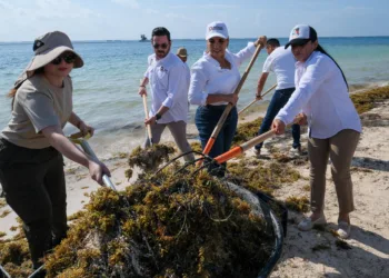 Arranca Mara Lezama trabajos para la temporada de arribo de sargazo a las costas de Quintana Roo