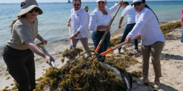 Arranca Mara Lezama trabajos para la temporada de arribo de sargazo a las costas de Quintana Roo
