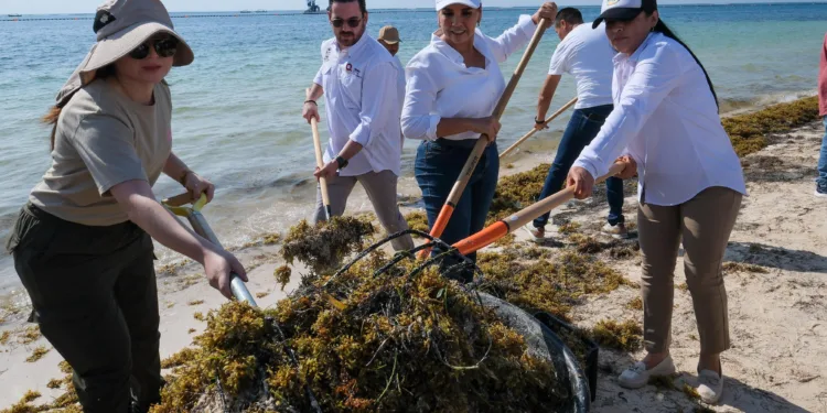 Arranca Mara Lezama trabajos para la temporada de arribo de sargazo a las costas de Quintana Roo