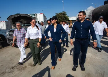 Gobierno de Estefanía Mercado mejora más de 4,800 luminarias y activa 1,400 sectores de alumbrado en Playa del Carmen