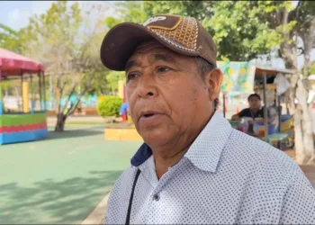 Trabajo infantil en comunidades rurales: entre la transmisión de valores y la explotación