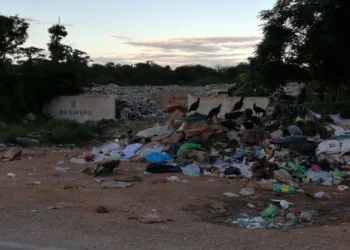 “La ceguera” de SEMA y de la Protección al Ambiente