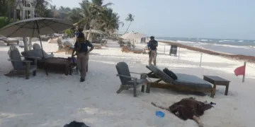 Dos mujeres ejecutadas en Tulum en menos de 12 horas