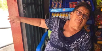 Proliferación de fauna nociva en colonia San Juan por abandono de lotes y falta de fumigación