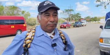 Fracasa temporada de sandía en Carolina: productores registran severas pérdidas