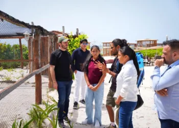 En Playa del Carmen, las nuevas generaciones y el gobierno, unidos por la protección de la tortuga marina: Fernando Muñoz